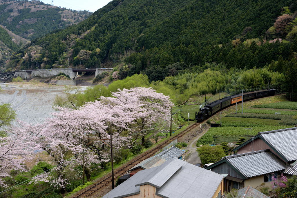 大井川鐵道のＳＬ