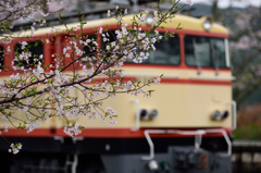 春の電車