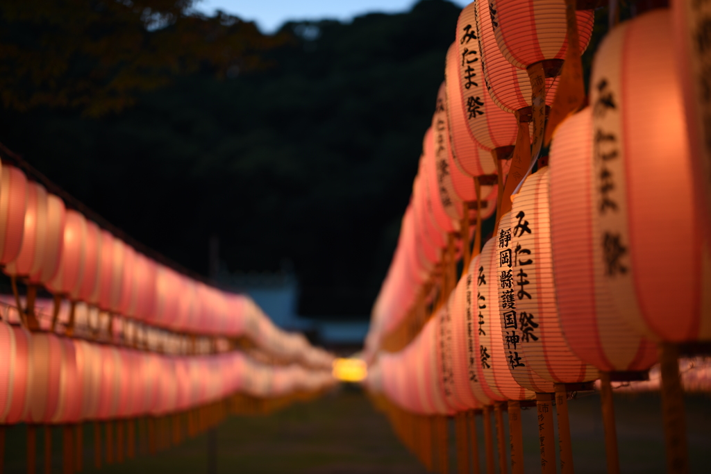 護国神社・万灯みたま祭１