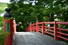 単焦点５０ｍｍの旅ｉｎ修善寺（願掛け橋）