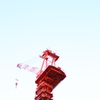 a crane 