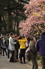 in casual Photos Ⅲ