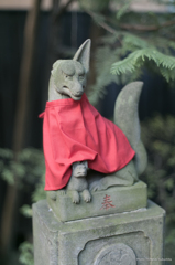 狐