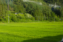 福島への旅　３