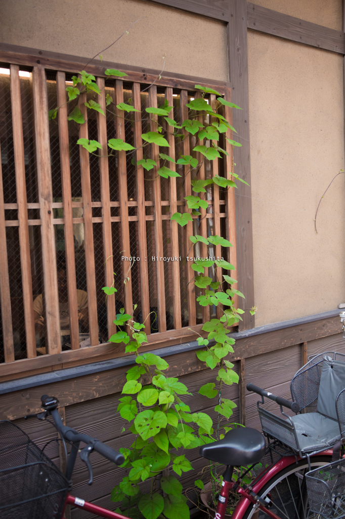 asakusa7