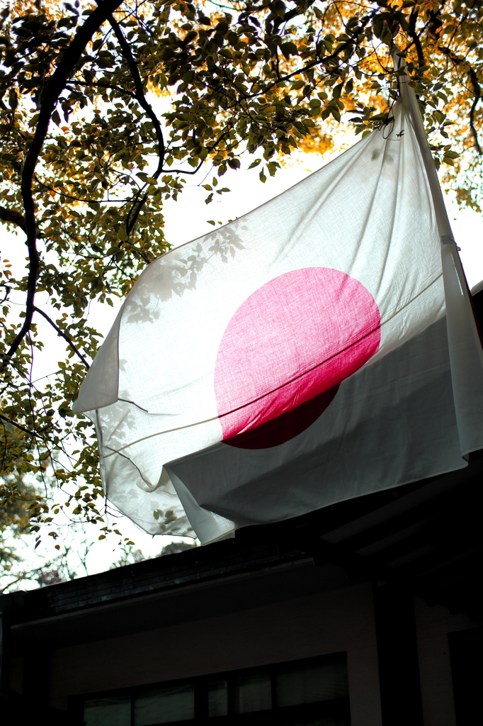 flag