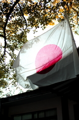 flag