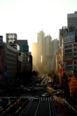 日差し