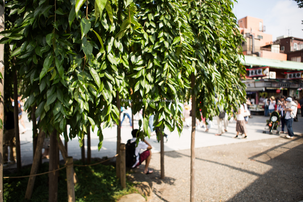 asakusa8