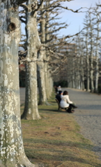  in casual Photos Ⅷ