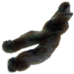 b 1
