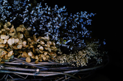 Dried Flowers