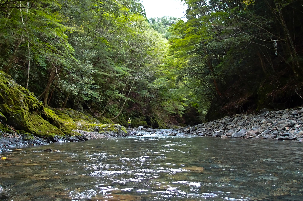mountain stream 01