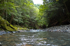 mountain stream 01