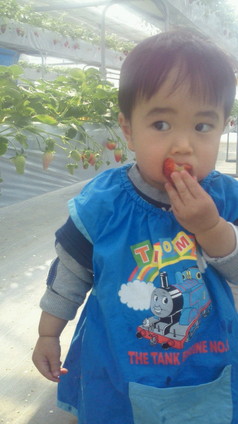 201202051129001
