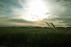 2013年9月19日「中秋の夕日？」