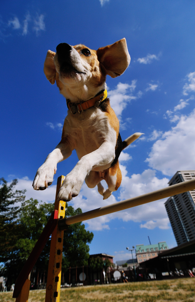 Jumping