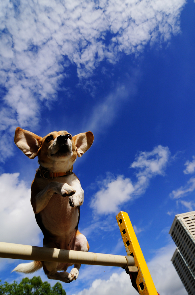 Jump