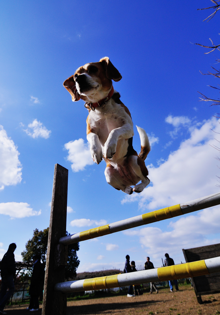 Jumping