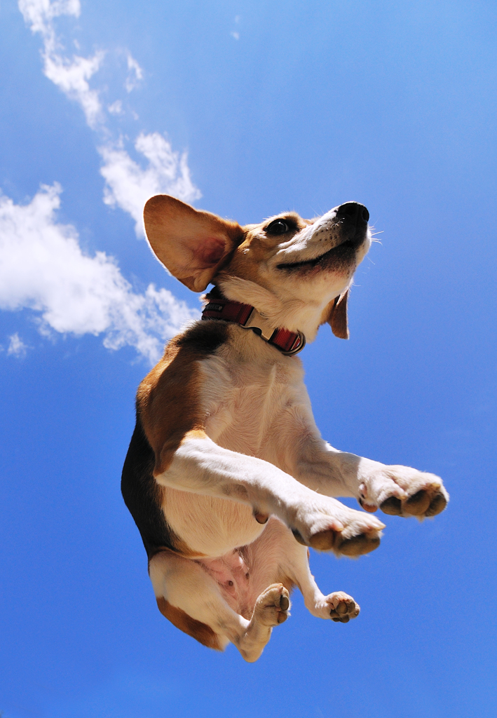 Jumping