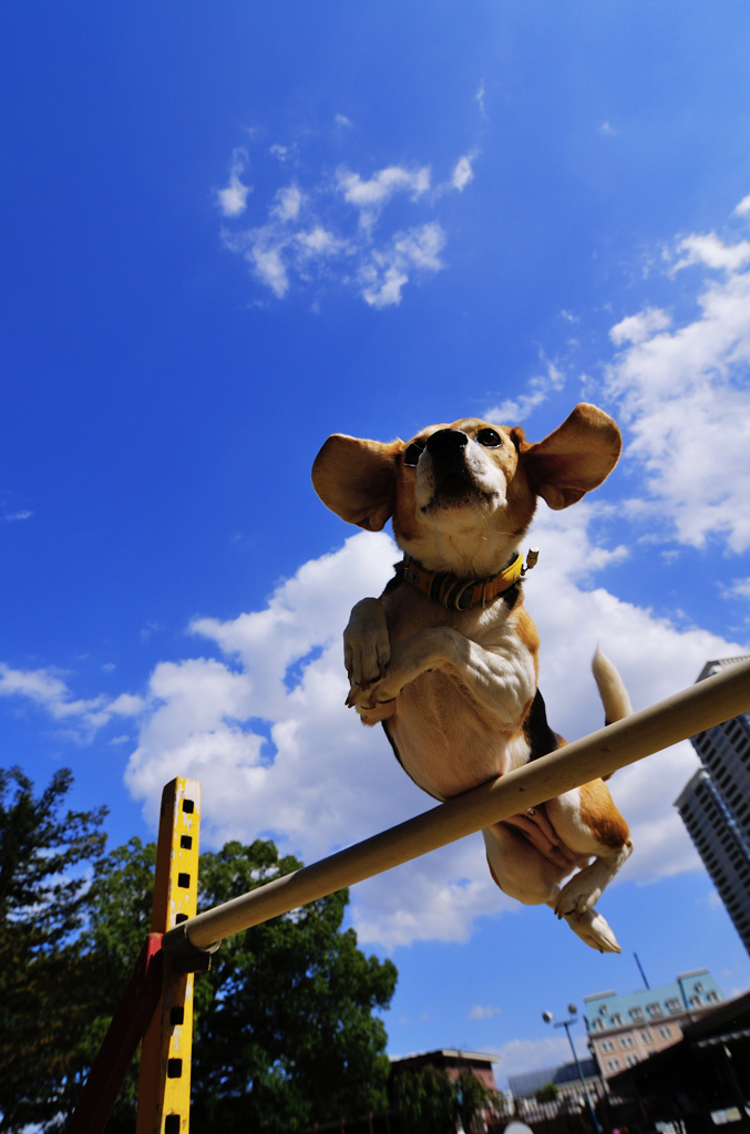 Jump