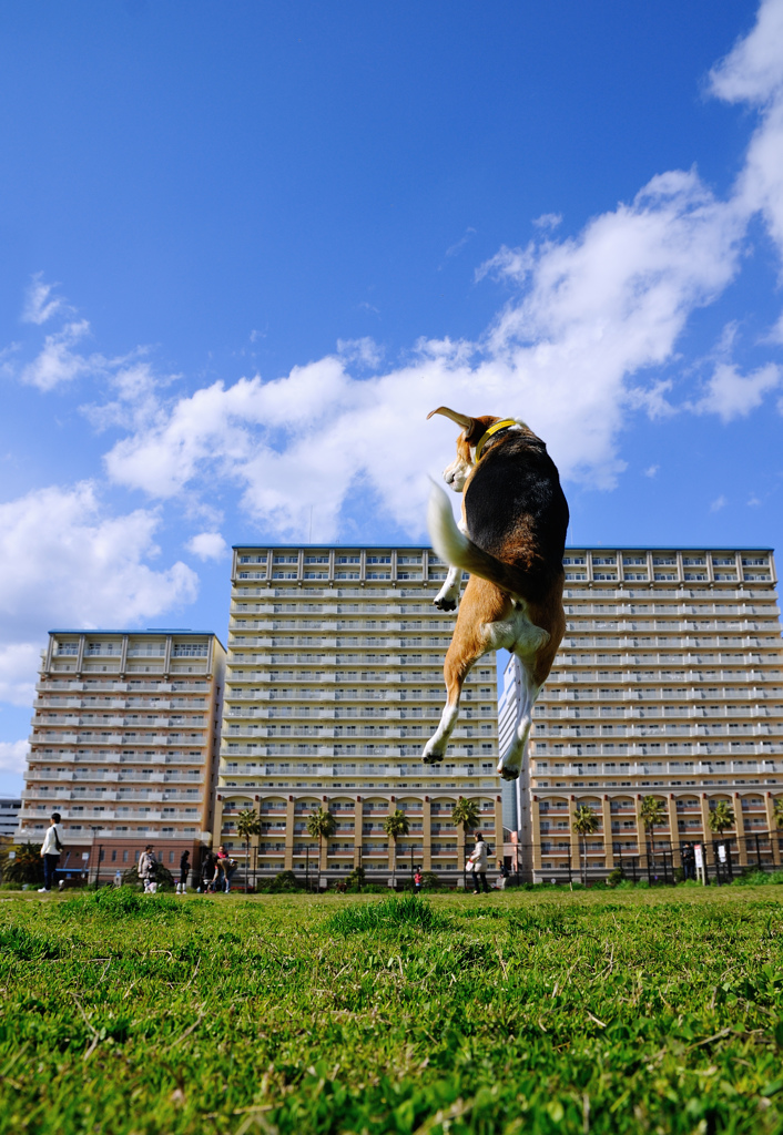 建物の向こう側