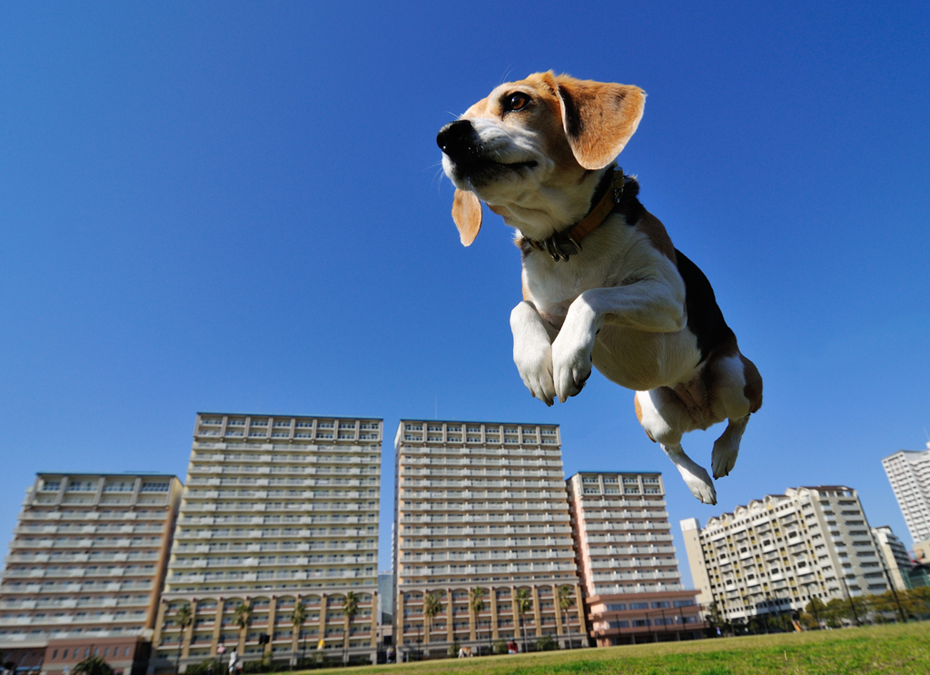 Jumping