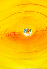 黄色いトンネル