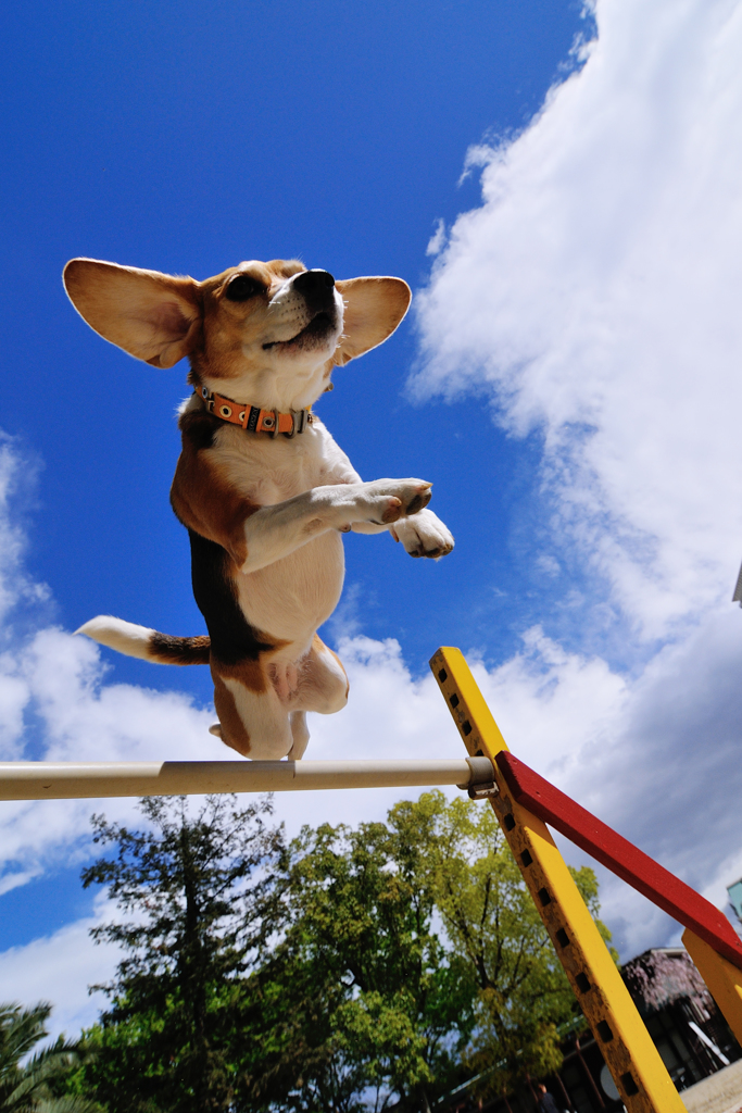 Jump
