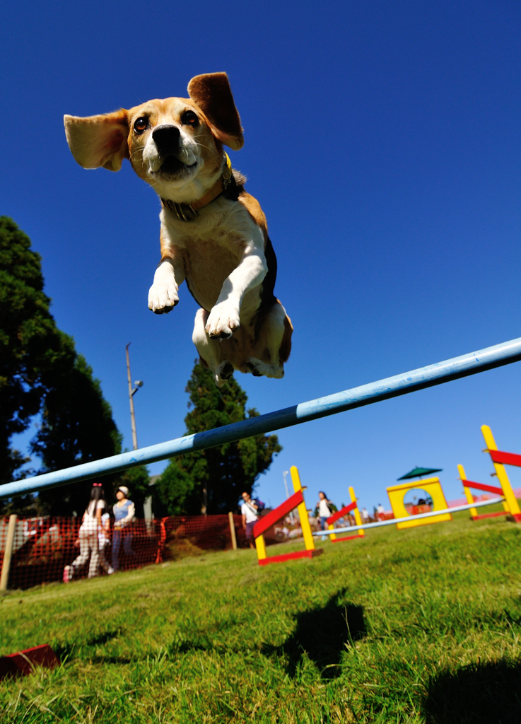 Jump