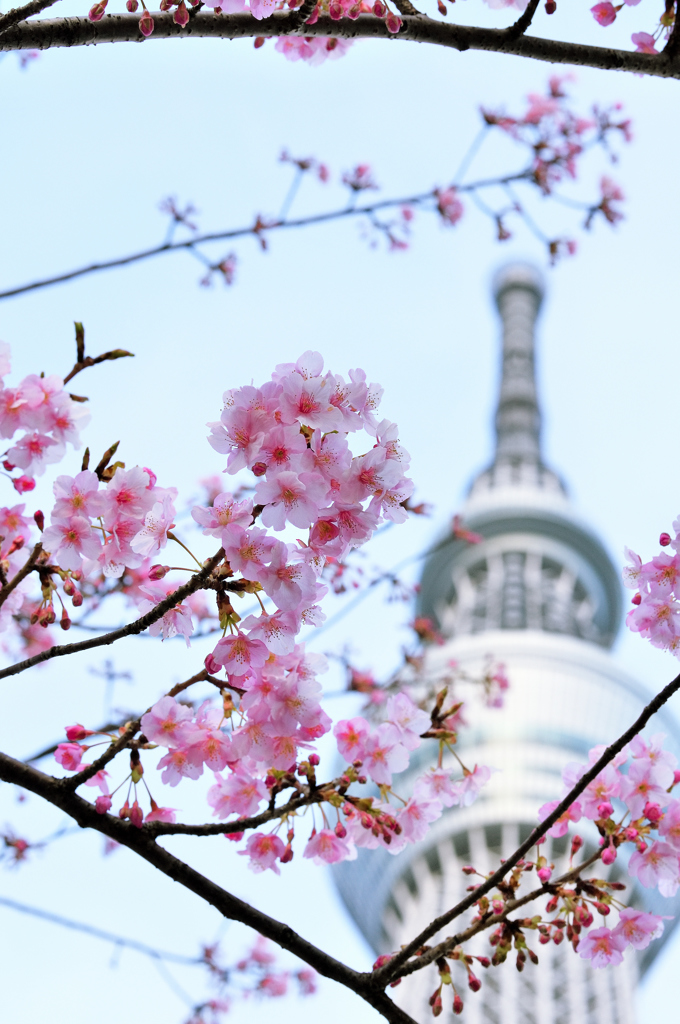 冬の寒空