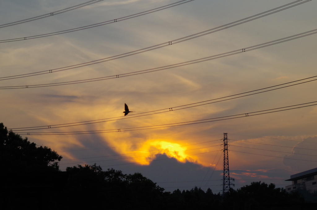 夕焼け空に