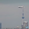 羽田空港第2ターミナルデッキにてJALとスカイツリー