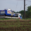 IMGP3401