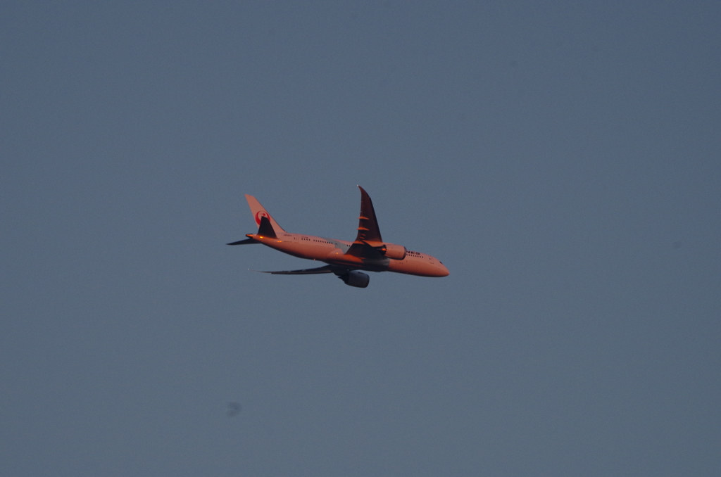 夕日に染まるB-787