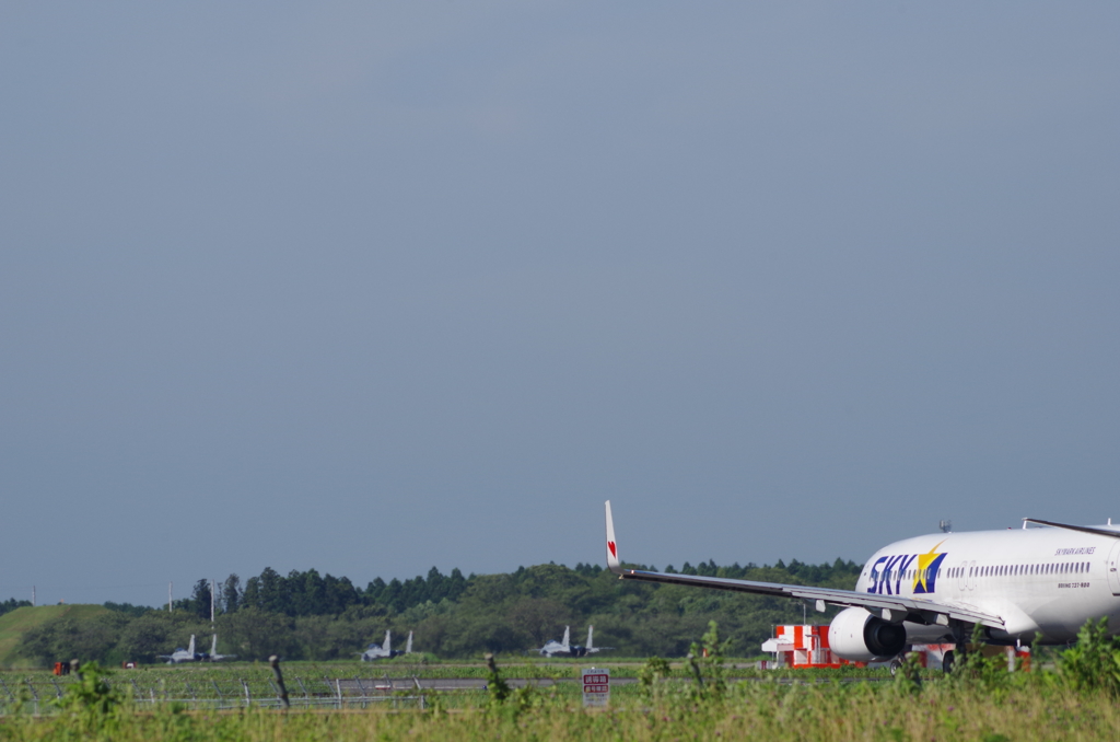 スカイマーク機とF15