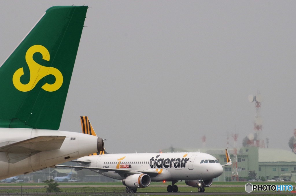 タイガーエア　A320　春秋航空A320