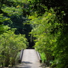 池を渡る橋