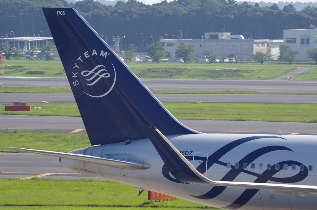 スカイチーム仕様＠デルタ航空機
