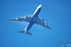 NCA　B-747