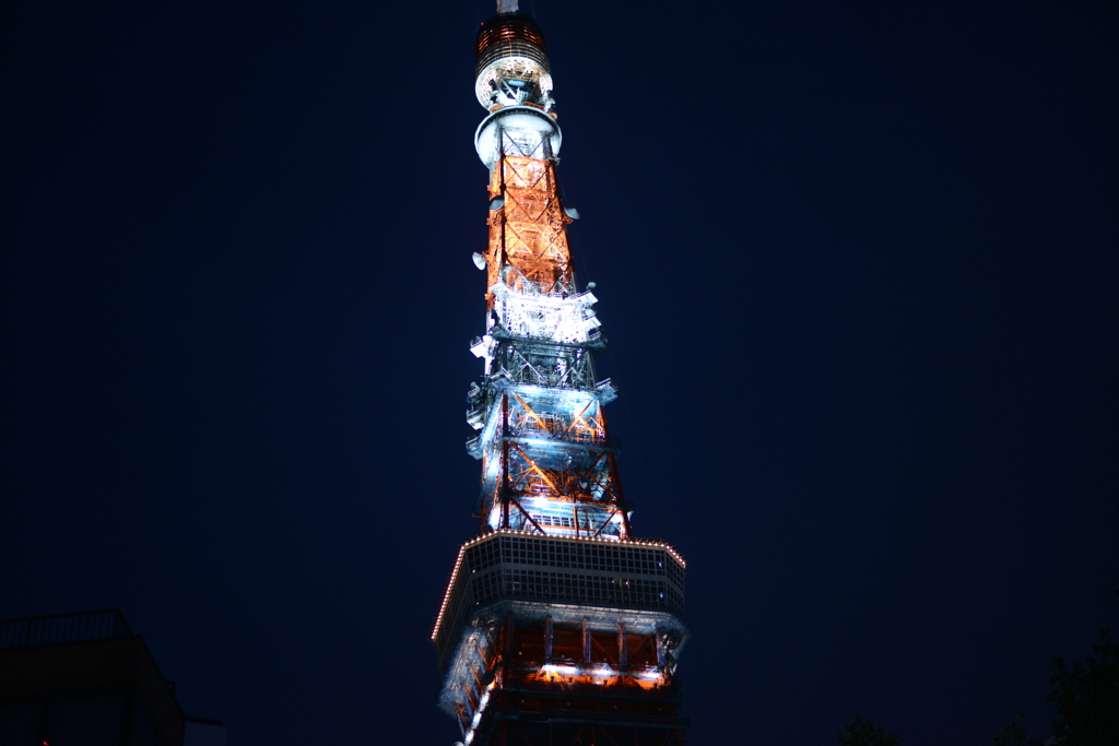 tokyo tower 1