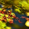 深耶馬渓の紅葉