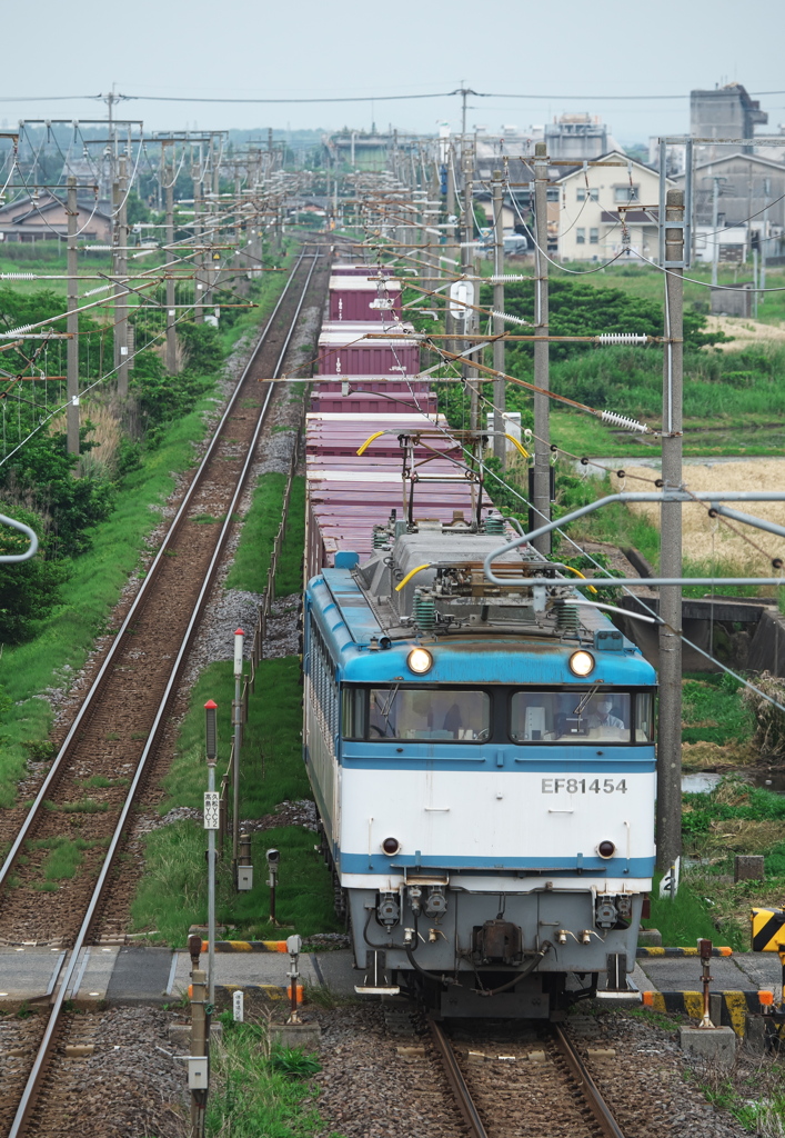 EF81 454