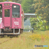 ゆめタウン号　平成筑豊鉄道