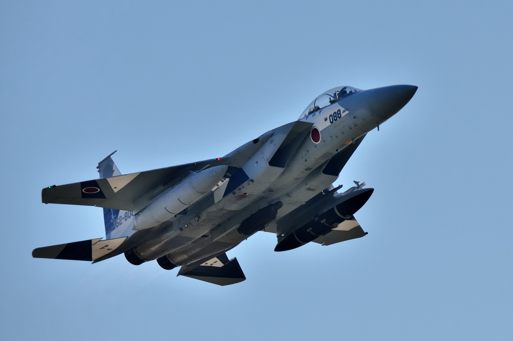 築城基地でのアグレッサー 