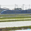 ただいま、田植えの真っ最中！！