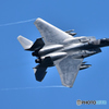 嘉手納基地F-15C　築城基地日米共同訓練2015　