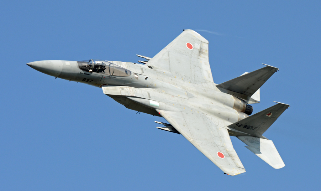 築城基地航空祭2013 F-15 EAGLE 