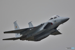 第23飛行隊のF-15DJ