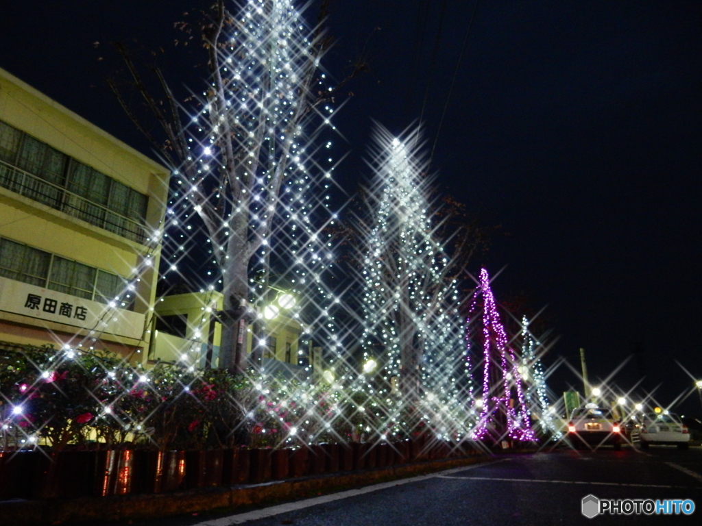 宇島駅のクリスマスイルミネーション